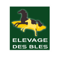 Elevage des Blés