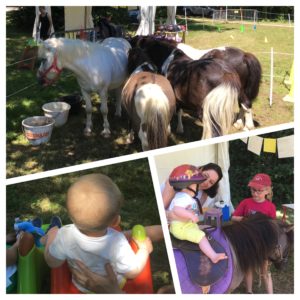 Poneys